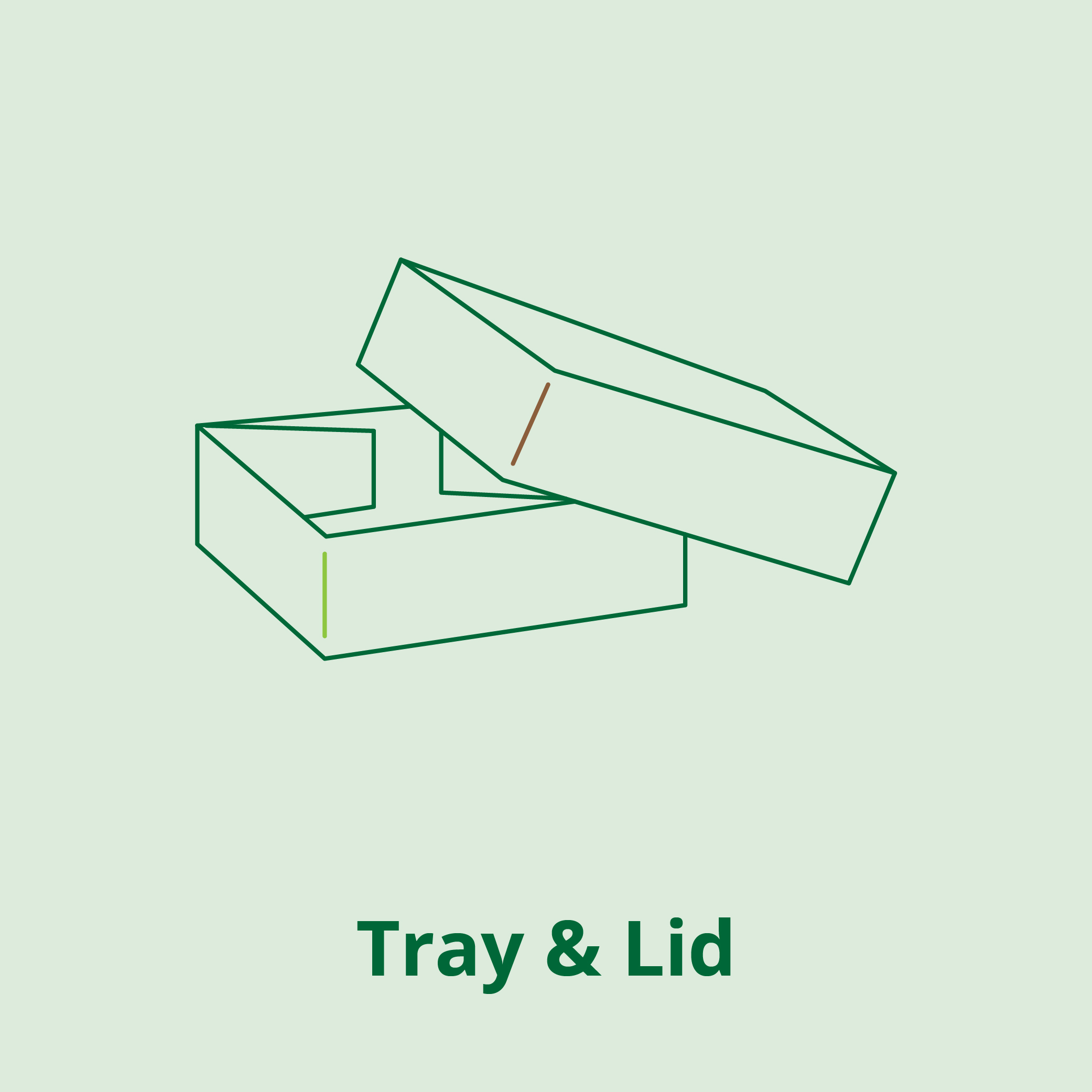Eco Tray & Lid