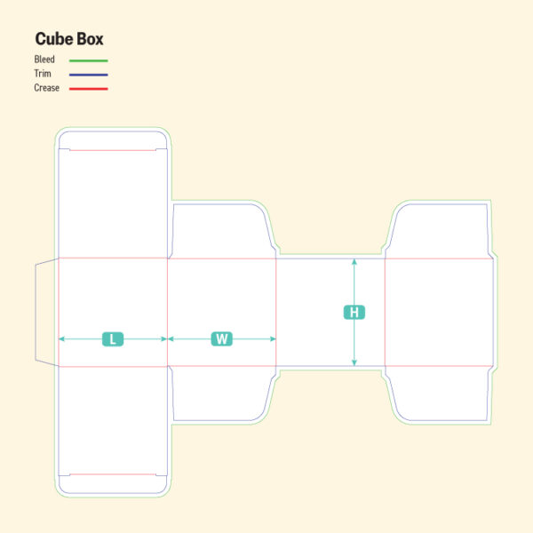 Cube Box-Die Cut Line